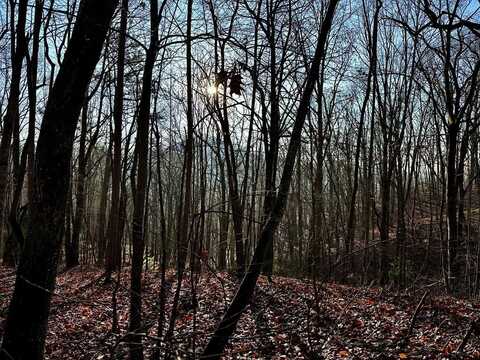 500 Scenic Vista Dr., MURPHY, NC 28906