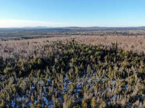 Lot 15 Upper Dobsis Road, Lakeville, ME 04487