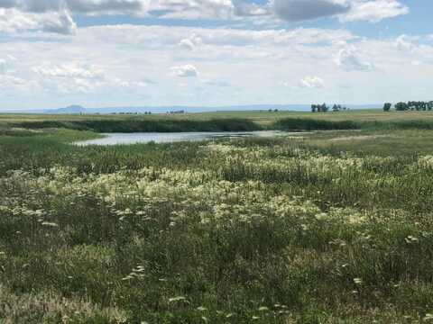 40 ACRES TBD Old Highway 212, Newell, SD 57760