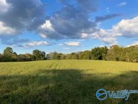 2341 Indian Creek Road, Pulaski, TN 38478