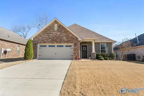 3017 Peevey Creek Lane, Owens Cross Roads, AL 35763