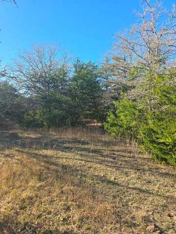 Tbd Hills Road, Ledbetter, TX 78946