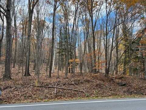 0 Route 296, Windham, NY 12496