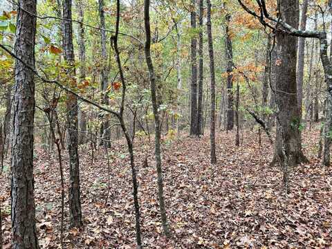 0 Intersection of Highway 23 and Holiday Road, Vernon, AL 35592