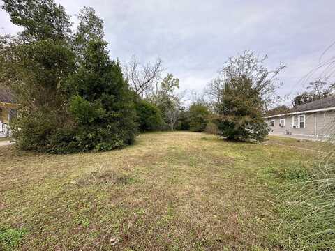 206 Oak Street, Brundidge, AL 36010