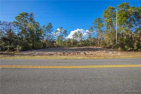 10510 N Elkcam Boulevard, Citrus Springs, FL 34433