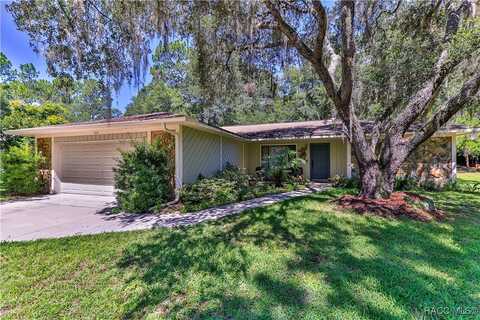 10830 SW 185th Terrace, Dunnellon, FL 34432