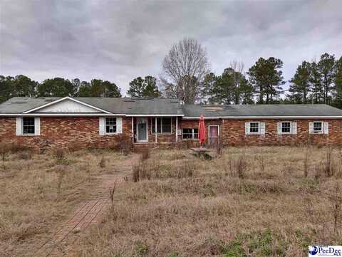 129 South Fifth Street, Timmonsville, SC 29161