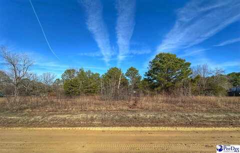 Lot 13 Copeland Moody Road, Latta, SC 29565