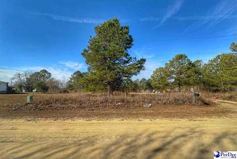 Lot 11 Zachary Court, Latta, SC 29565