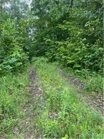 26259 County Road 26, Garrison, MN 56450