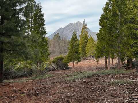 S Mt. Shasta Boulevard, Mount Shasta, CA 96067