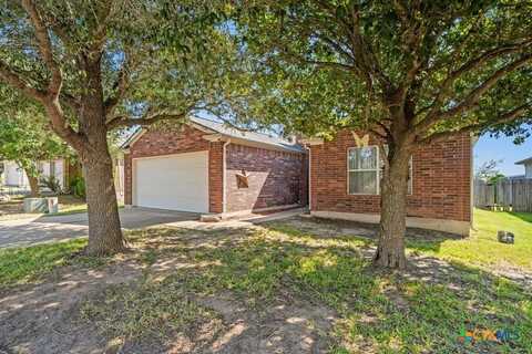 14529 Gurneys Eagle Drive, Elgin, TX 78621