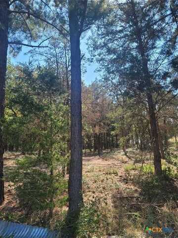 Lot 1 Marlin Ln. County Rd 142 Rd, McDade, TX 78650