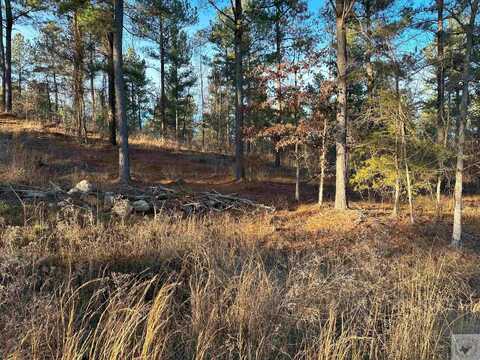 Lot 19 Winding Pines Road, Kirby, AR 71959