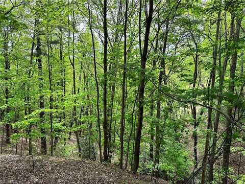 Lot 112 Buck Mountain Road, Purlear, NC 28665