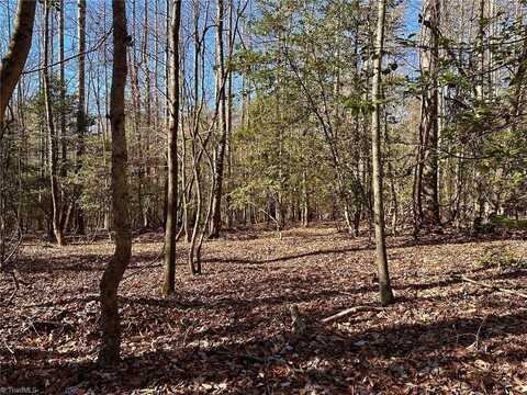 220 Rainbow Trout Drive, Hays, NC 28635