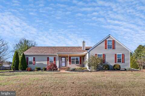 199 BIRCHWOOD LANE, GALENA, MD 21635