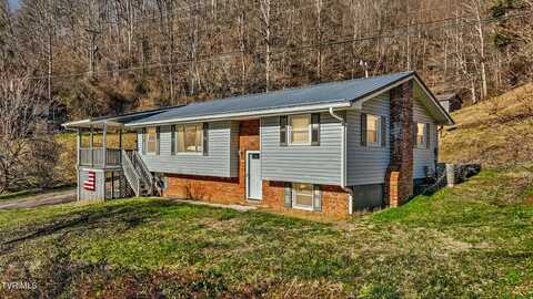 1290 Fairview Road, Duffield, VA 24244