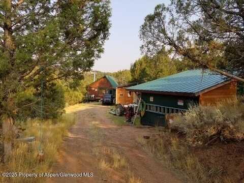 Tbd County Road 115, Glenwood Springs, CO 81601