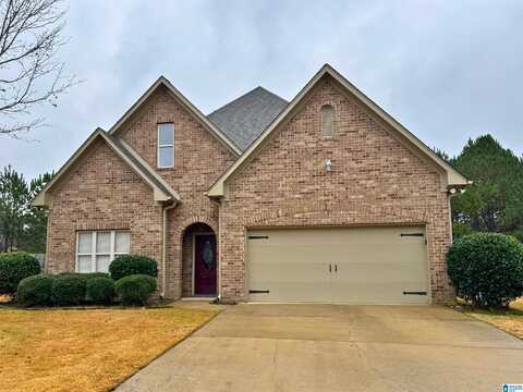 3041 SPRINGFIELD CIRCLE, CHELSEA, AL 35043