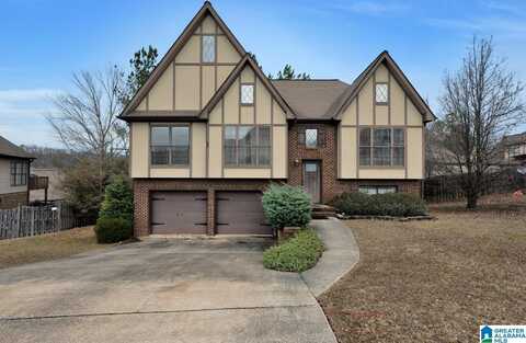 206 EAGLE COVE LANE, PELHAM, AL 35124