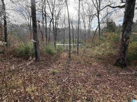 230 TOMAHAWK TRAIL, RIVERSIDE, AL 35135