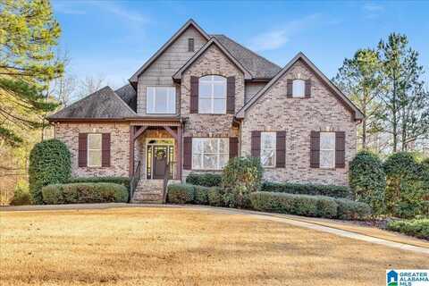 316 CREEKSIDE COVE, CHELSEA, AL 35186