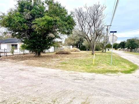 Elbano Street, Alice, TX 78332