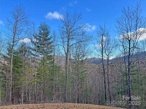 400 Pine Cone Trail, Marshall, NC 28753