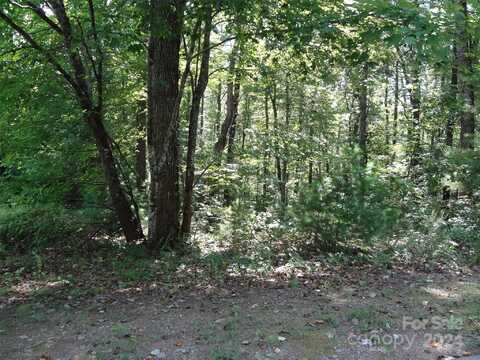 Na Georgetown Lane NE, Lenoir, NC 28645