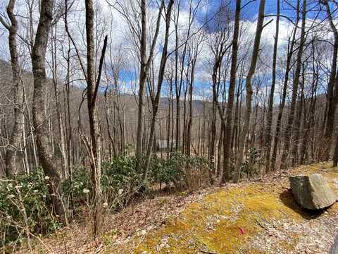 55 Great Aspen Way, Black Mountain, NC 28711