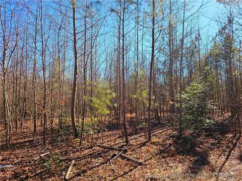 Lot 5 Dragonfly Lane, Sanford, NC 27332