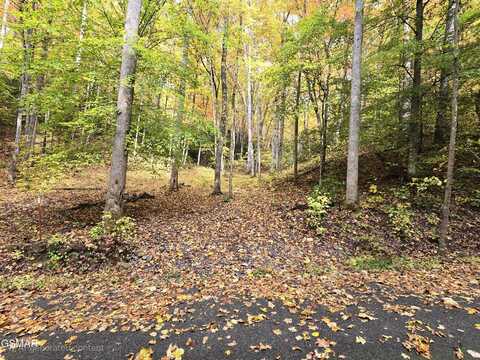 Lot 15 Sonshine Ridge Road, Cosby, TN 37722