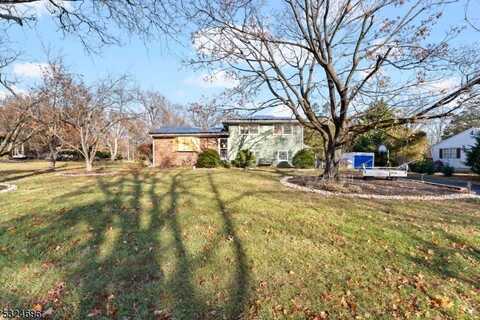 543 Alletra Ave, Bridgewater, NJ 08807