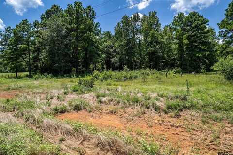 Lot 71 Star Mountain, Winona, TX 75792