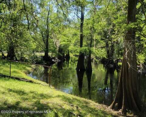 0 Tarzan Street, Dade City, FL 33523