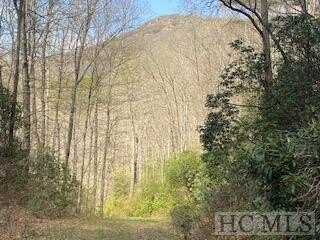 6507 Dillard Road, Scaly Mountain, NC 28775