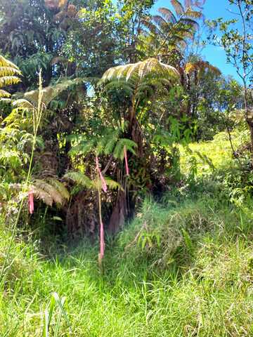18-2300 ROAD 9, VOLCANO, HI 96785