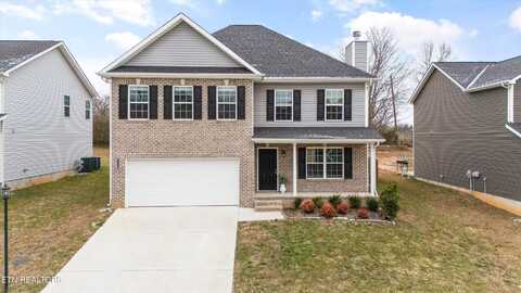 1119 Sky Top Lane, Powell, TN 37849