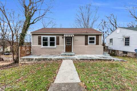 3715 Selma Ave, Knoxville, TN 37914