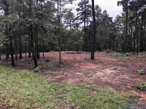 Lot 4 LAKE GLADEWATER RD, Gladewater, TX 75647