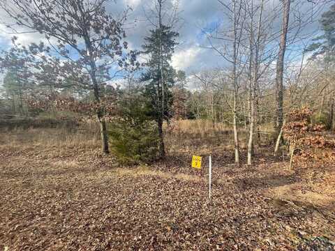 Lot 7 Lake Gladewater Rd, Gladewater, TX 75647