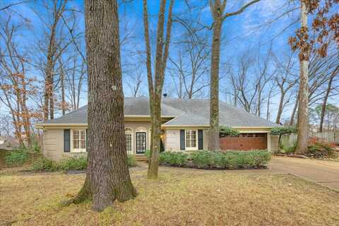 7850 LACEWING TRACE, Memphis, TN 38016