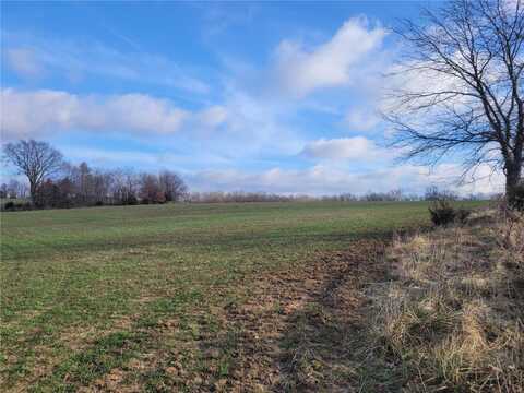 0 Bales Rd. (26.5+/- Acres), Middletown, MO 63359