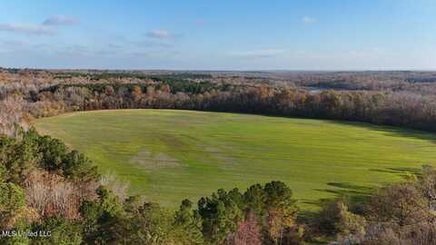 4 Mill Pond Road, Lamar, MS 38642