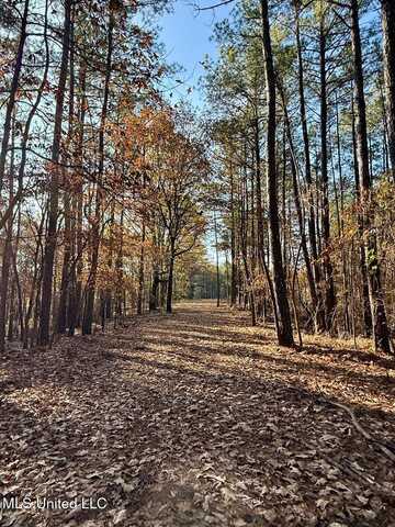 7 Mill Pond Road, Lamar, MS 38642