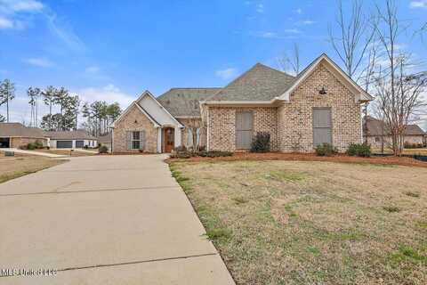 748 Bearing Way, Brandon, MS 39047