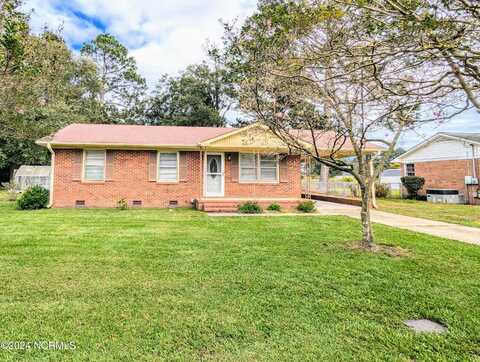 910 Holloman Street, Mount Olive, NC 28365