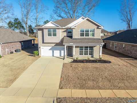 121 River Springs Court, New Market, AL 35761